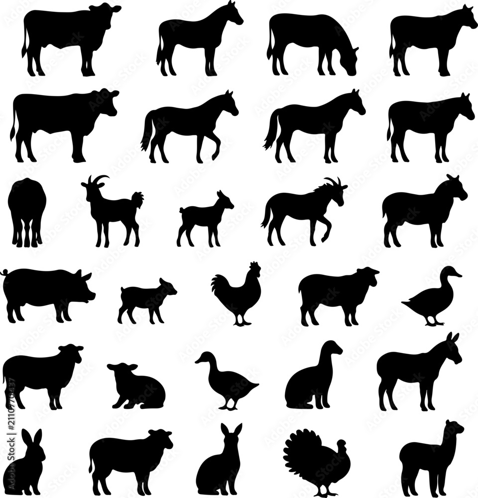 Obraz premium Farm Animal Silhouette Collection Vector Set with Horse Cow Goat Sheep Pig Dog Cat and Wild Mammals Icons Illustration