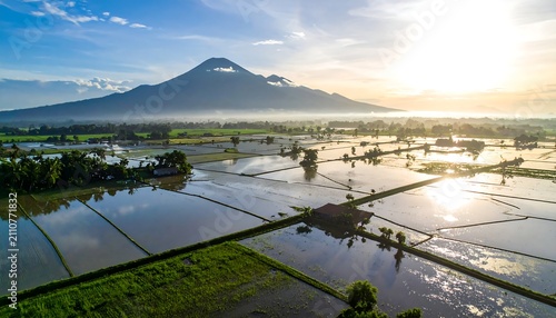 Aerial view of flooded rice fields reflecting sunlight near a majestic mountain shrouded in mist