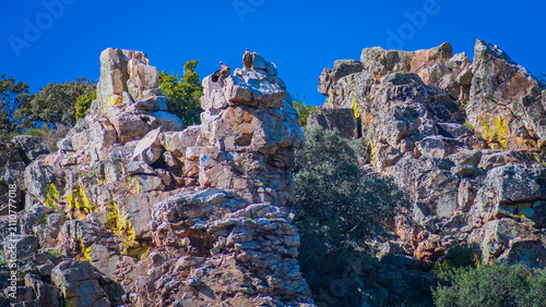 фотографія Landscape of Monfrague National Park (Extremadura, Spain)