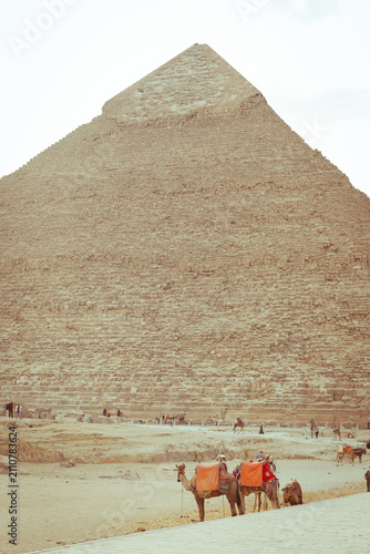 Canvastavla Camels and Pyramids