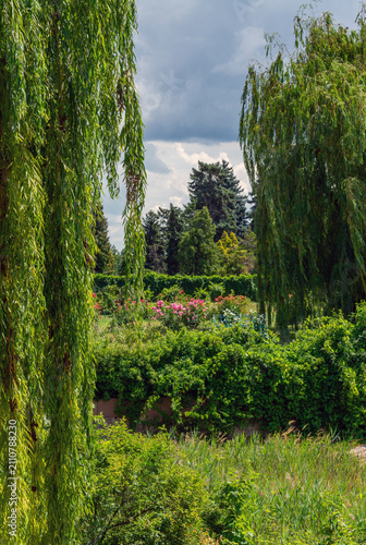 A walk in the park among blooming flowers and weeping willows.