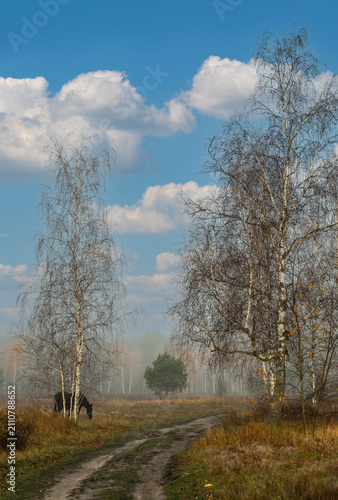 A foggy autumn morning. A horse grazes in a meadow. The road winds through withered grass. In the distance, a forest is barely visible through the fog.