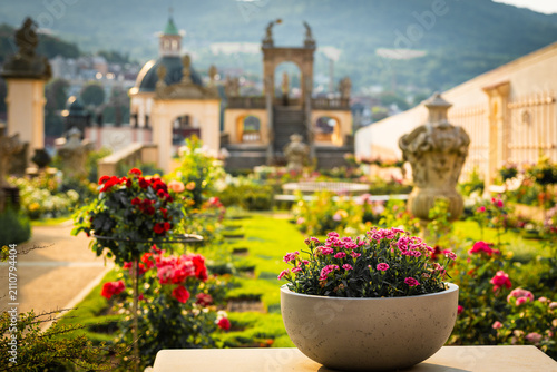 Foto Rose garden, Růžová zahrada, Castle Decin, Zámek Děčín, CZ