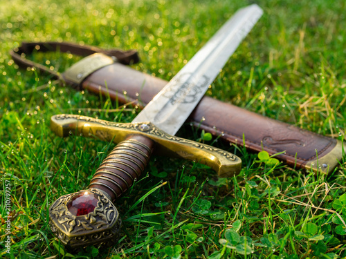 A beautiful medieval historical sword lying in the grass