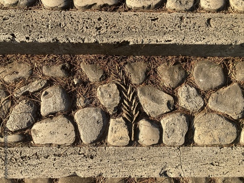 Photography Detail of a sunlit stone walkway, Rome, Italy