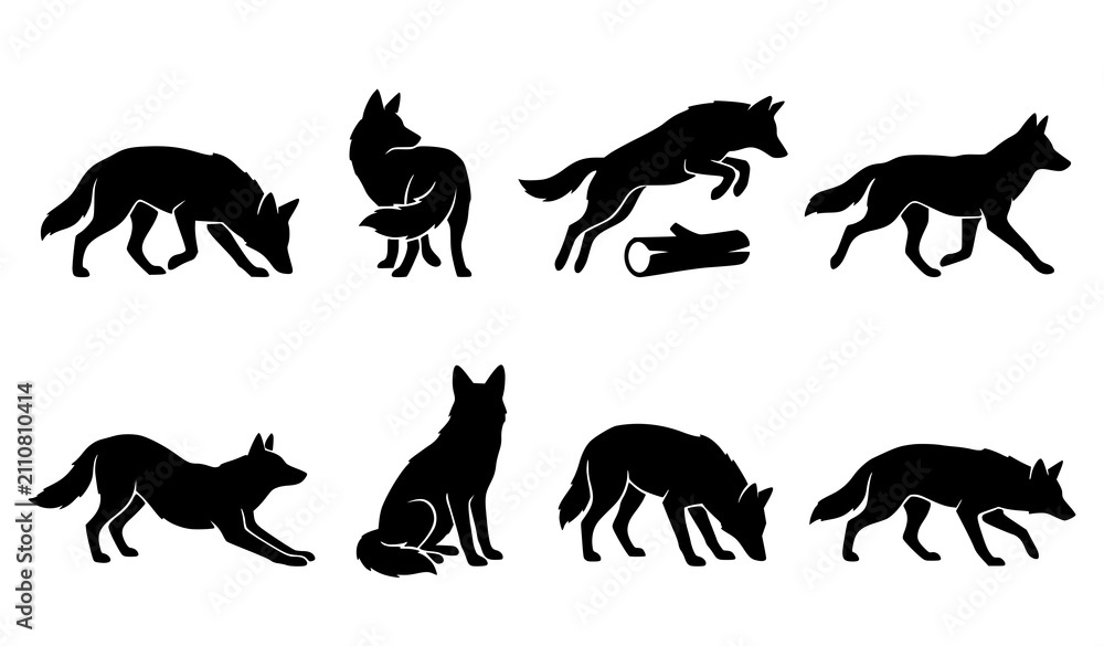 Obraz premium Black Silhouette Fox Wolf Wild Canine Animal Collection Isolated for Nature Wildlife Illustration Design Projects