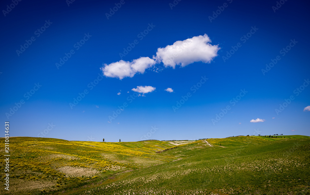 Obraz premium Tuscan rolling agricultural hills under blue sky