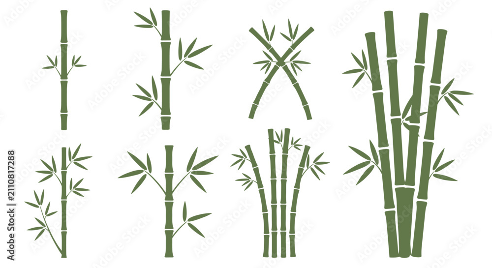 Naklejka premium Vector set of green bamboo stems, branches, and leaves configurations isolated on white background.