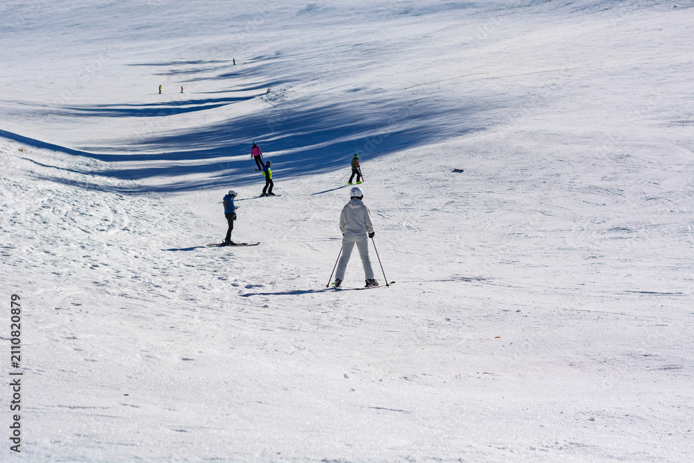 Fototapeta premium A group of enthusiasts glide sinuously along the white slope under a clear, cold winter sky.