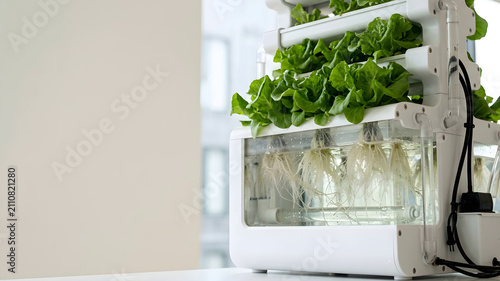 Sleek hydroponic system with transparent tubing and lush green root growth copy space on left side