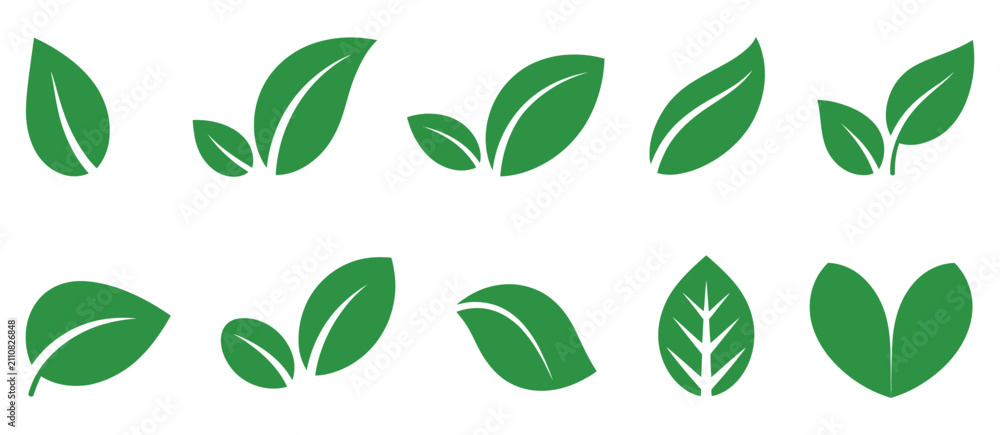 Obraz premium Leaf sprout icon vector set, green leaves plant eco logo symbols for organic nature, vegan branding, healthy herb and fresh growth