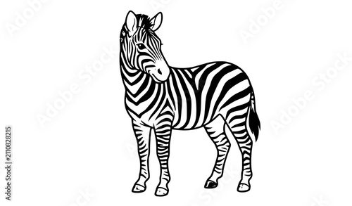 Canvas Print Realistic Zebra Front Three Quarter Pose Isolated on White Background Vector Ill