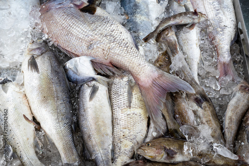 Canvastavla Fresh Fish Displayed on Ice at a Seafood Market