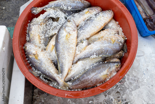Fresh Fish Being Salted for Traditional Preservation
