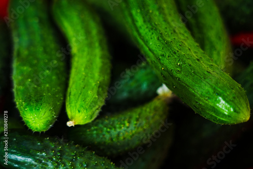 Quadro su tela Fresh green cucumbers in a pile.