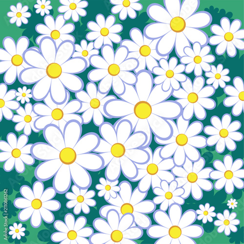 Floral pattern with chamomile. Vector illustration
