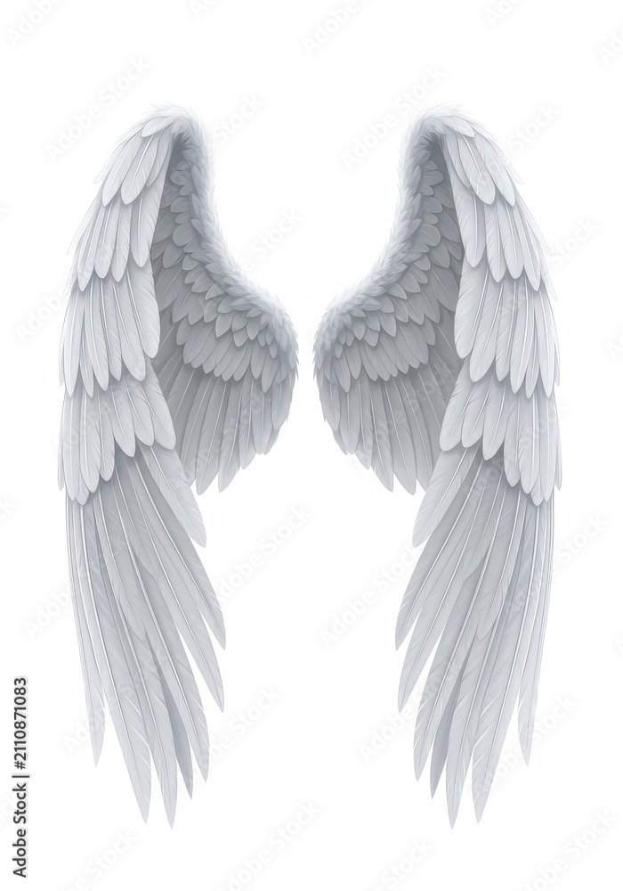 Obraz premium Realistic White Angel Wings Isolated on White Background - Detailed Feathered Wings Illustration for Spiritual and Divine Concepts