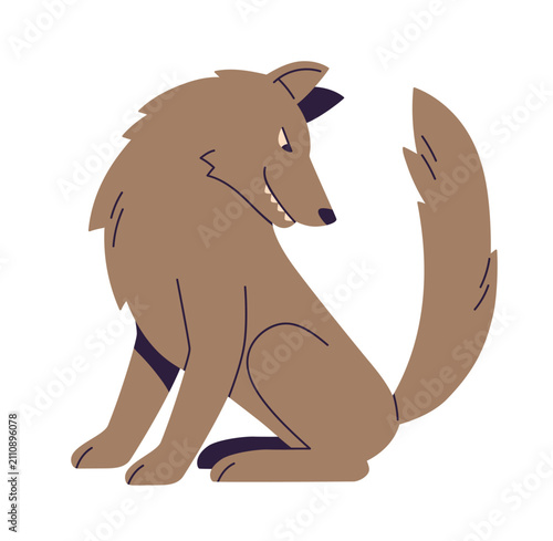Wolf profile sitting and looking back at tail with sly grinning smile. Wild f...