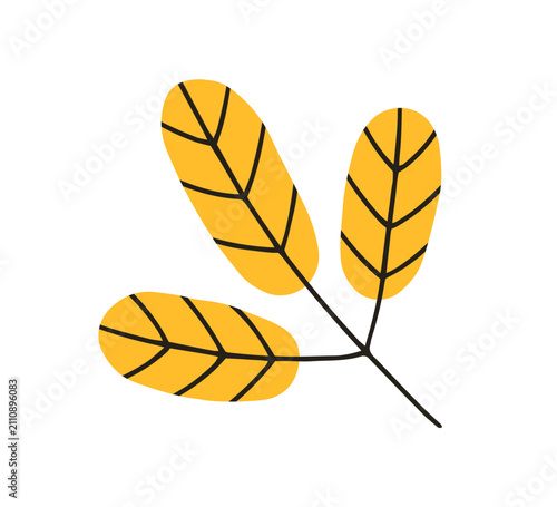 Yellow autumn tree leaf. Fall foliage, natural botanical decoration. Abstract...