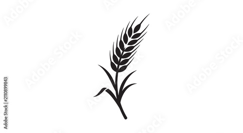 Obraz na płótnie Wheat stalk silhouette against a white background simple black shape
