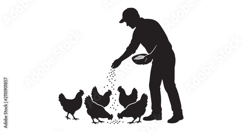 Photos Farmer feeding chickens with grain black silhouette