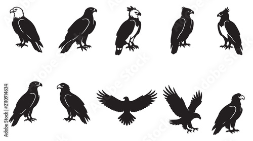 Canvastavla Eagle silhouette vector set, black bird of prey icons, 10 predatory hawk and fal