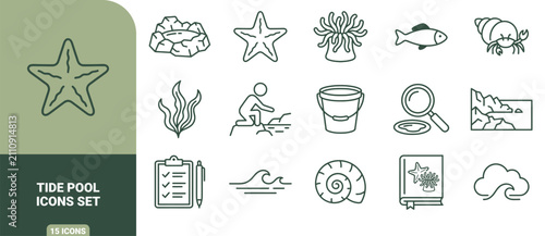 Bild auf Leinwand Green linear tide pool icons set featuring starfish, sea anemone, crab, seaweed,