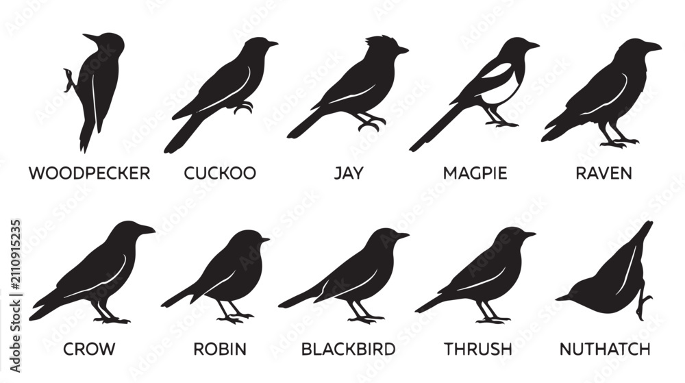 Obraz premium Black bird silhouettes set of 10 vector icons, wild garden birds collection including woodpecker and raven, avian wildlife profile shapes isolated on White Background