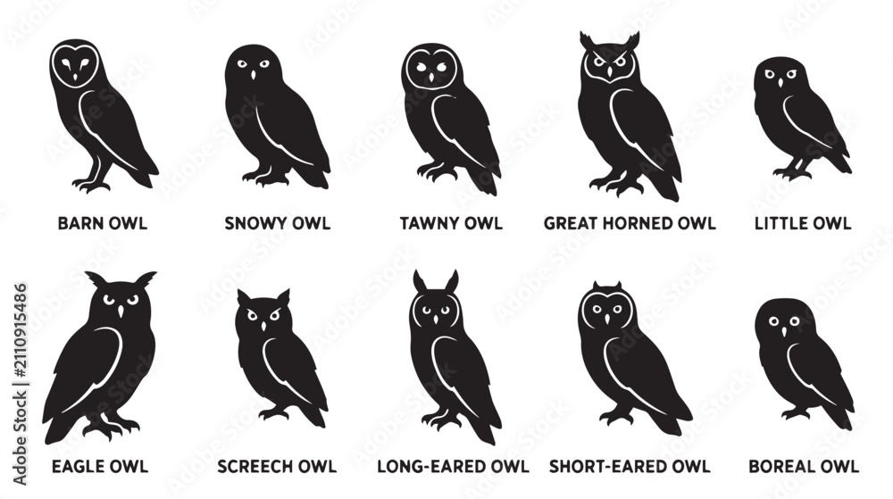 Obraz premium Minimalist owl silhouette icons, set of 10 bird species vector illustrations, black barn and eagle owl graphics for nature branding and educational design isolated on White Background