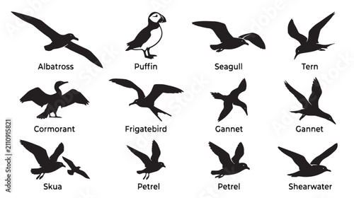 Bild auf Leinwand Seabird silhouette vector set with 12 icons, black albatross puffin and seagull
