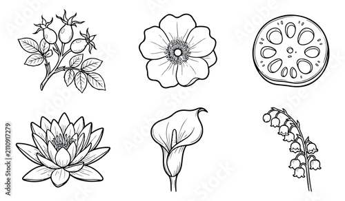Quadro su tela Vintage botanical line art collection, set of 6 hand drawn floral icons, black a