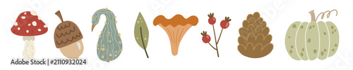 Bild auf Leinwand Autumn elements set vector featuring fly agaric, acorn, squash, chanterelle mushroom, berries, pinecone, and green pumpkin design