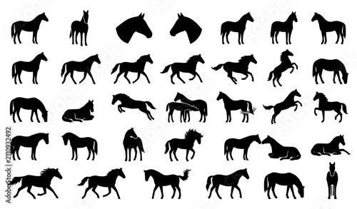 Konstfotografi Horse Silhouette Icon Set Vector Collection