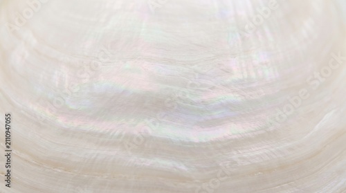 Obraz na płótnie Abstract Iridescent Mother of Pearl Texture, Luminous Soft Nacre Background