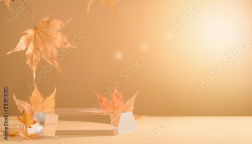 Autumn maple leaves with glass podium background 澄んだ秋の楓とガラス台座