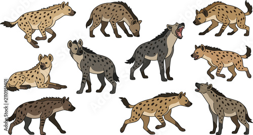 Foto Spotted hyena collection featuring African wildlife, scavenger mammals, laughing