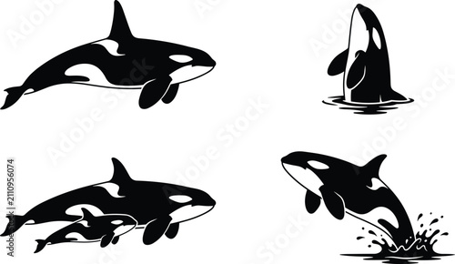 Foto Orca whale collection featuring killer whales swimming, breaching, surfacing, an