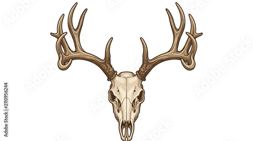 Konstfotografi Detailed vector-style illustration of a weathered deer buck skull with large multi-point antlers isolated on a plain white background, ideal for hunting or nature themes