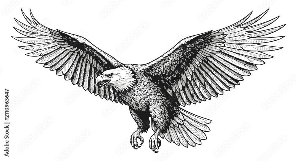 Obraz premium Eagle in flight with open wings detailed illustration