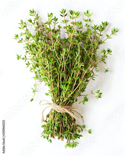 thyme herb bundle fresh ingredient isolated on white background