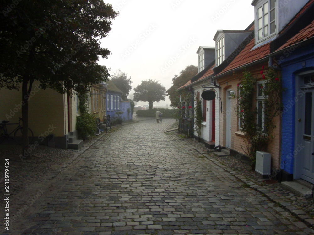 Fototapeta premium Cottage, cobblestone street and village, travel and neighborhood in Denmark with landscape or background. Traditional, town and tourism with road, property or houses, architecture and countryside