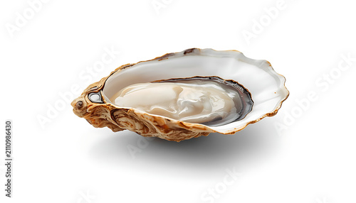 A fresh opened oyster on the half shell isolated on white background. Perfect for seafood restaurant menu.