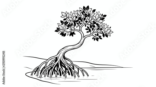Fotografía Mangrove Tree Illustration: Exposed Roots in Water, Black and White Sketch