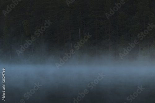Morning mist drifting across a calm forest lake with dense pine woodland in the background, creating a peaceful and atmospheric natural landscape.
