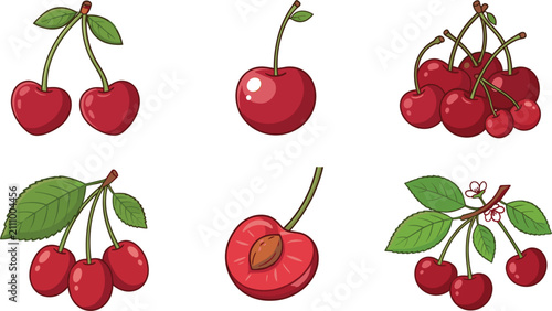 Fresh red cherry fruit vector collection with sweet berries green leaves half slice pit and blossom illustrations