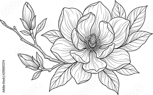 vector illustration of a zoom