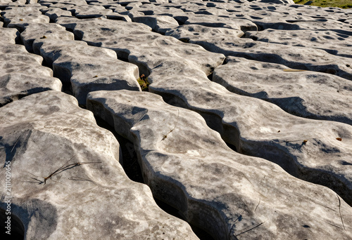 Limestone pavement with nat...