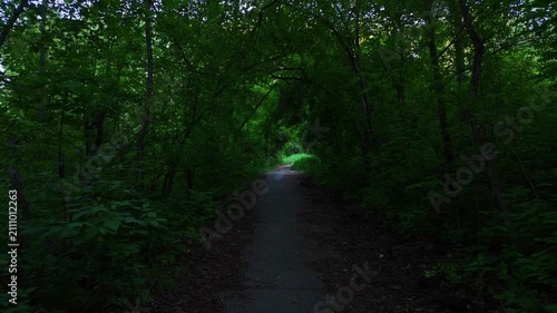 A low-altitude flight, skirting overhanging branches above a narrow path through a dense, gloomy forest. Pine Forest, Novosibirsk, Russia.