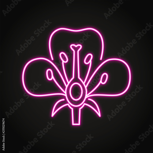 Flower structure neon icon. Parts of flower symbol. Vector illustration.