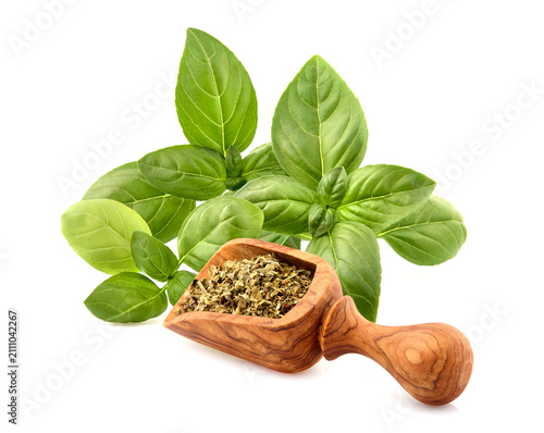 Fresh Basil leaves with tomato in closeup on white  background.   Spice  fresh and dry closeup.